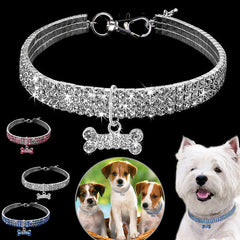 I'm So Blingy! Collar - PuggCo